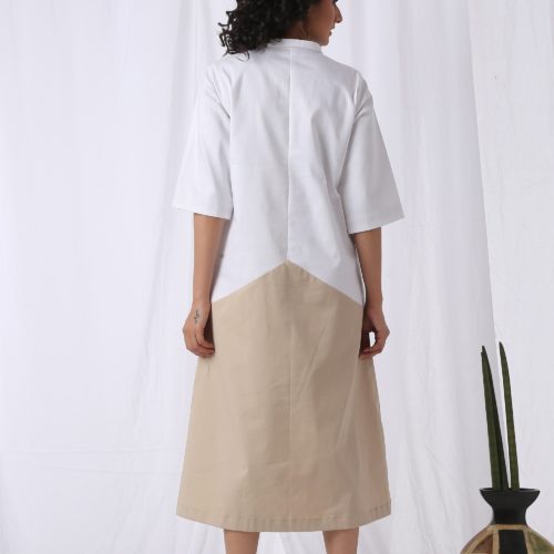Draped_Panel_Cotton_Dress_Back.jpg
