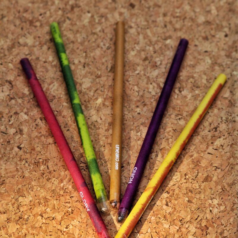 Set of Ten Plantable Pencils 2