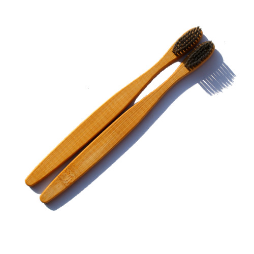 Set of Two 2ooth Brush 1